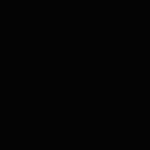 Meet your Posher, Ida